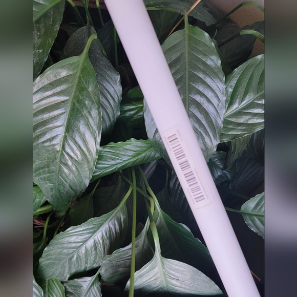 Turtle canvas/poster inpirational wall art. - Picture 4 of 5